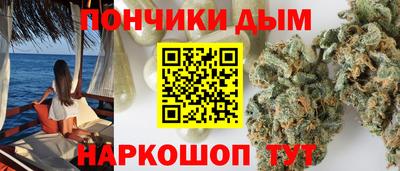 ГАЛЛЮЦИНОГЕННЫЕ ГРИБЫ Кингисепп