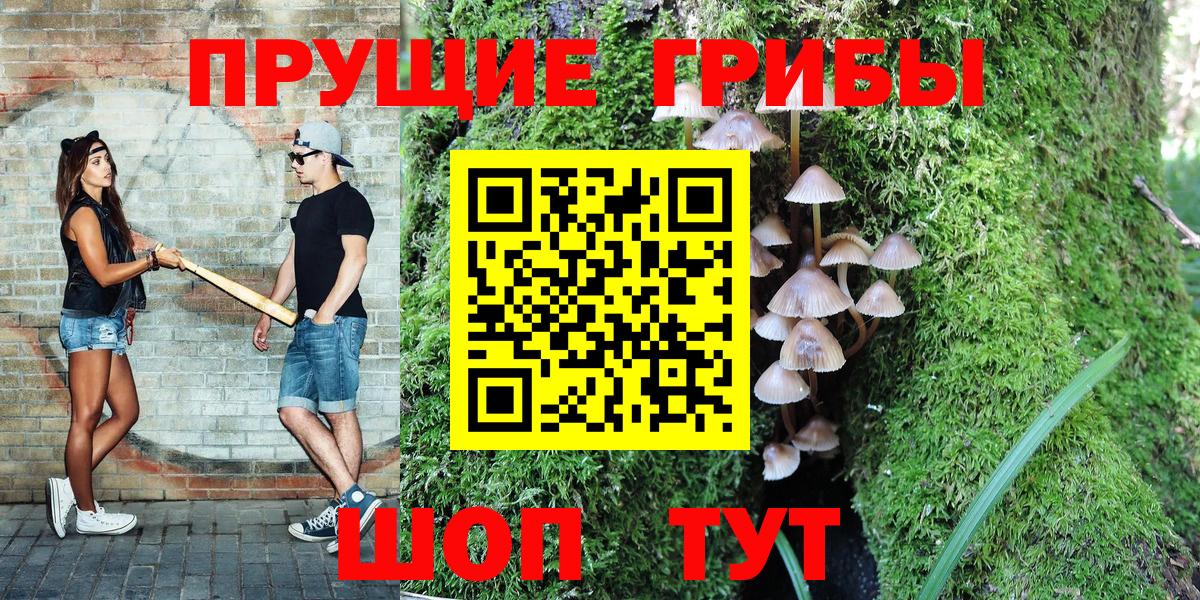Псилоцибиновые грибы Cubensis Алапаевск